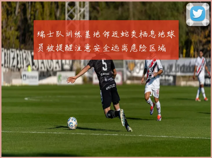 瑞士队训练基地邻近蛇类栖息地球员被提醒注意安全远离危险区域