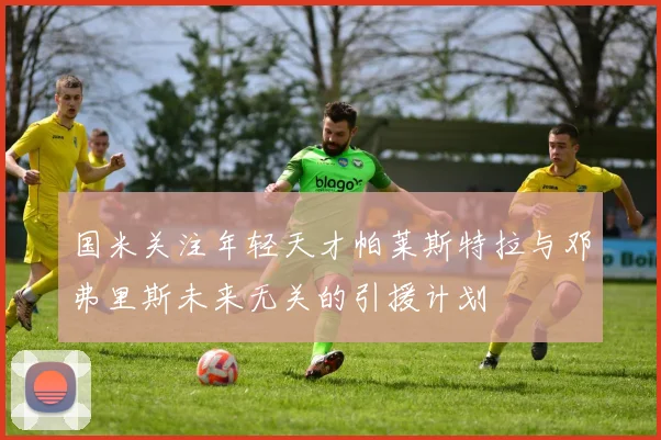 国米关注年轻天才帕莱斯特拉与邓弗里斯未来无关的引援计划