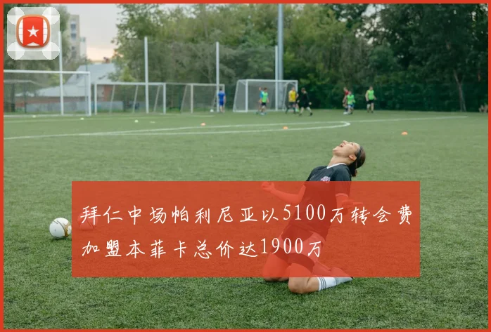 拜仁中场帕利尼亚以5100万转会费加盟本菲卡总价达1900万